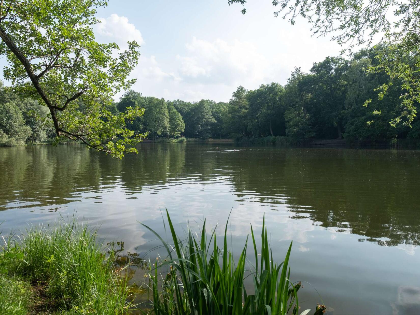 Jungfernheidesee