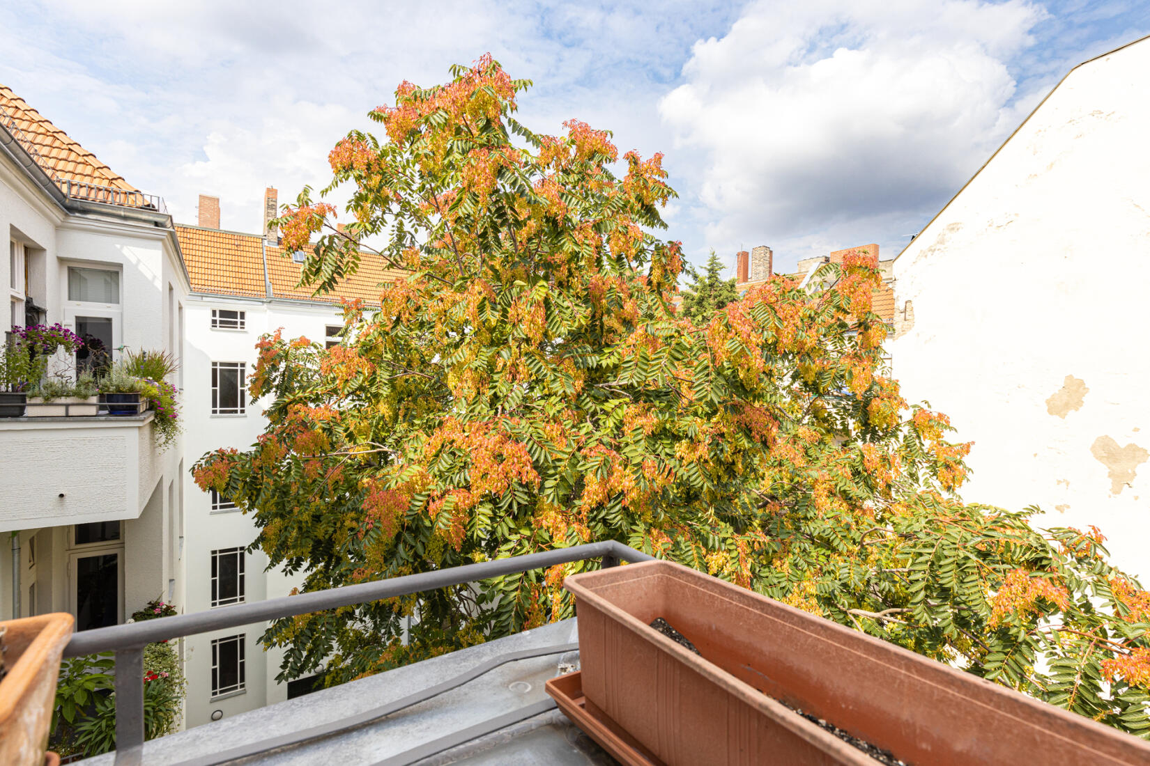 Blick vom Balkon