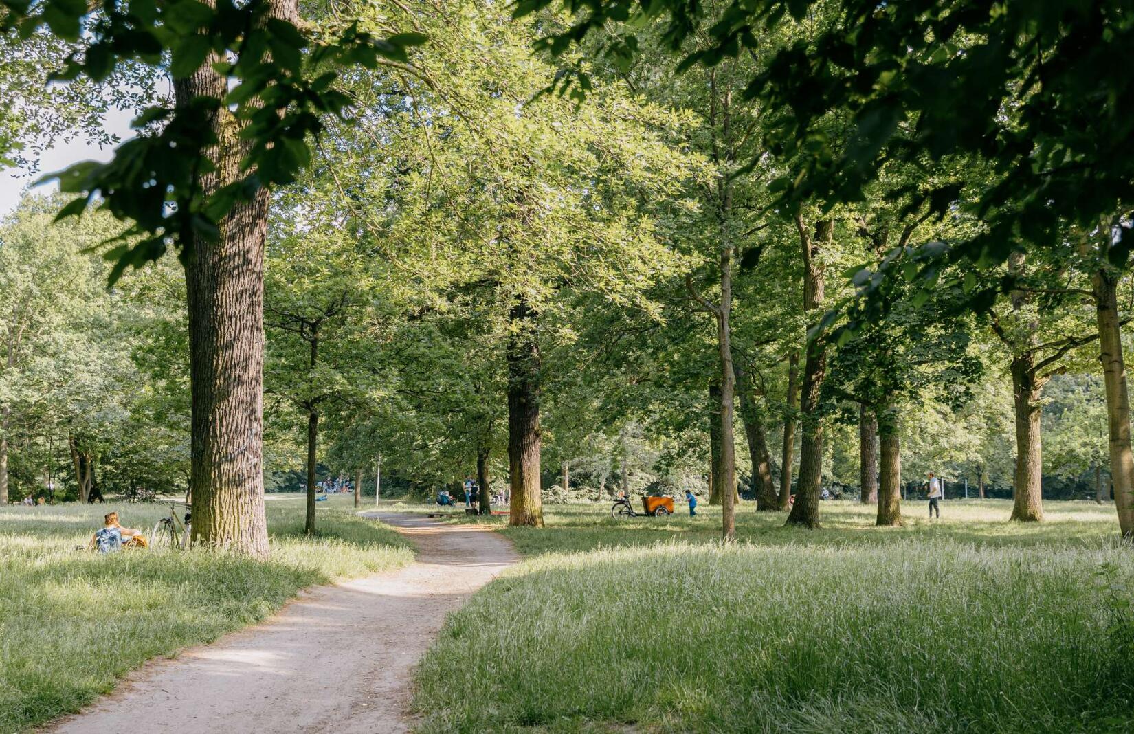 Grüne Umgebung