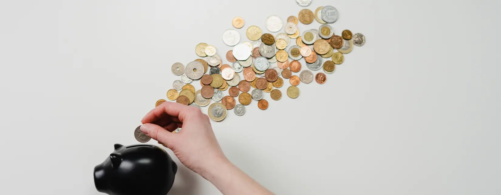 Coins are put into a piggy bank