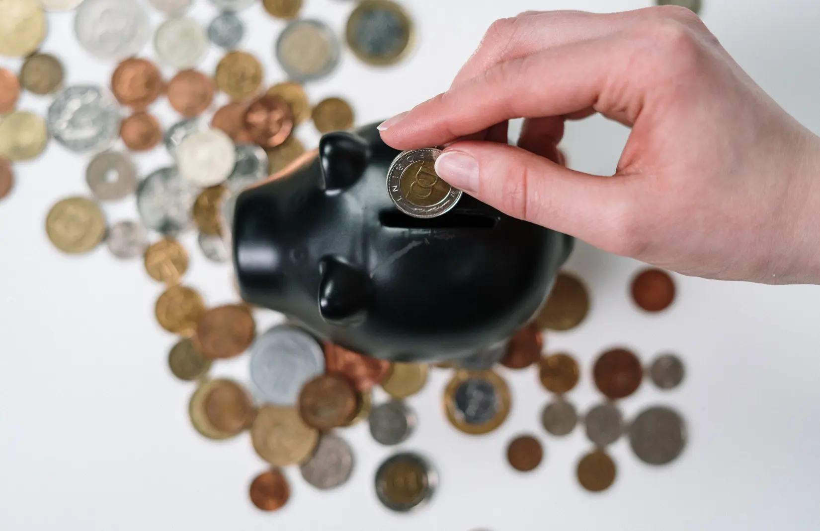 Coins are put into a piggy bank