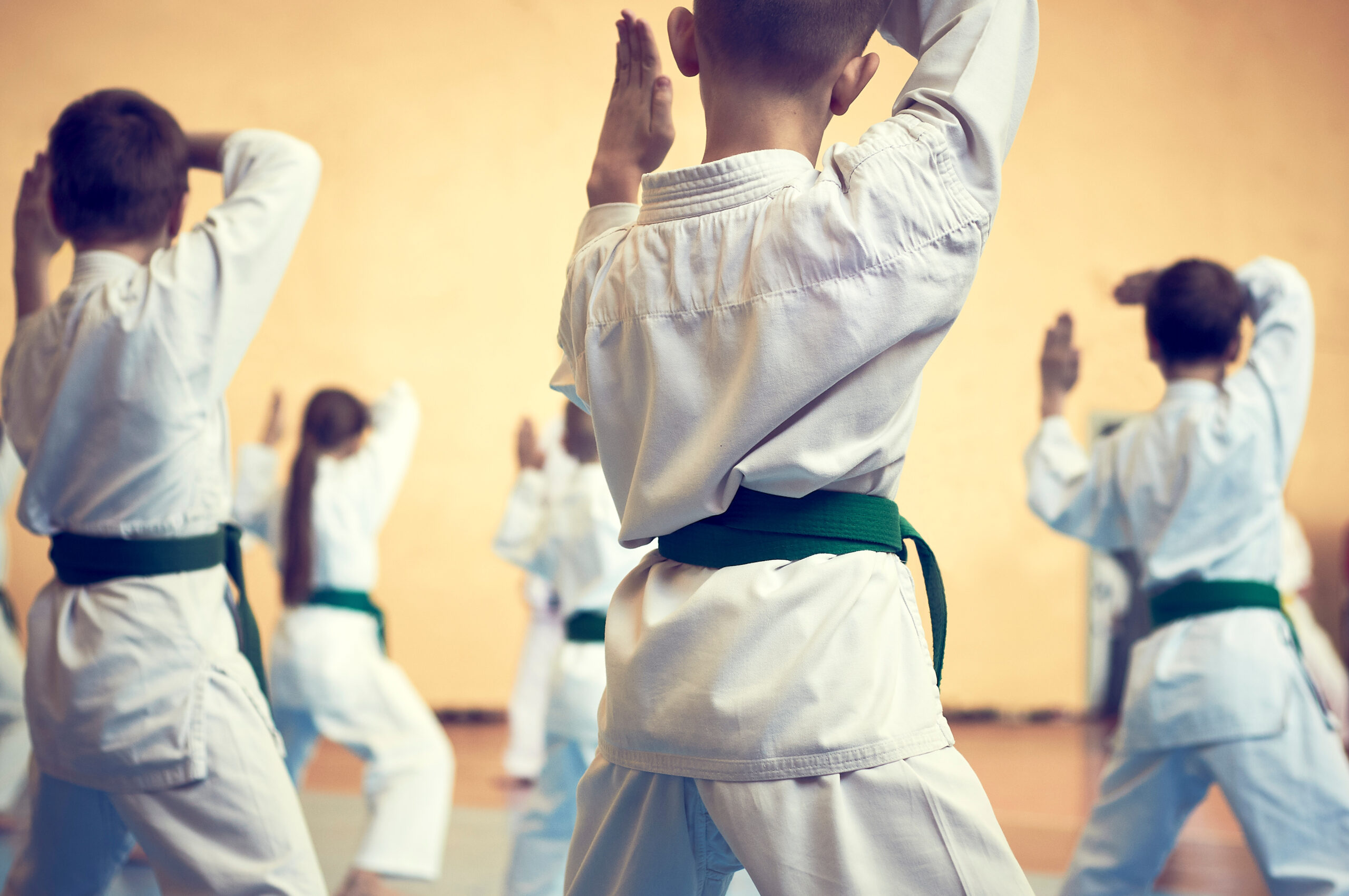 Children at karate training