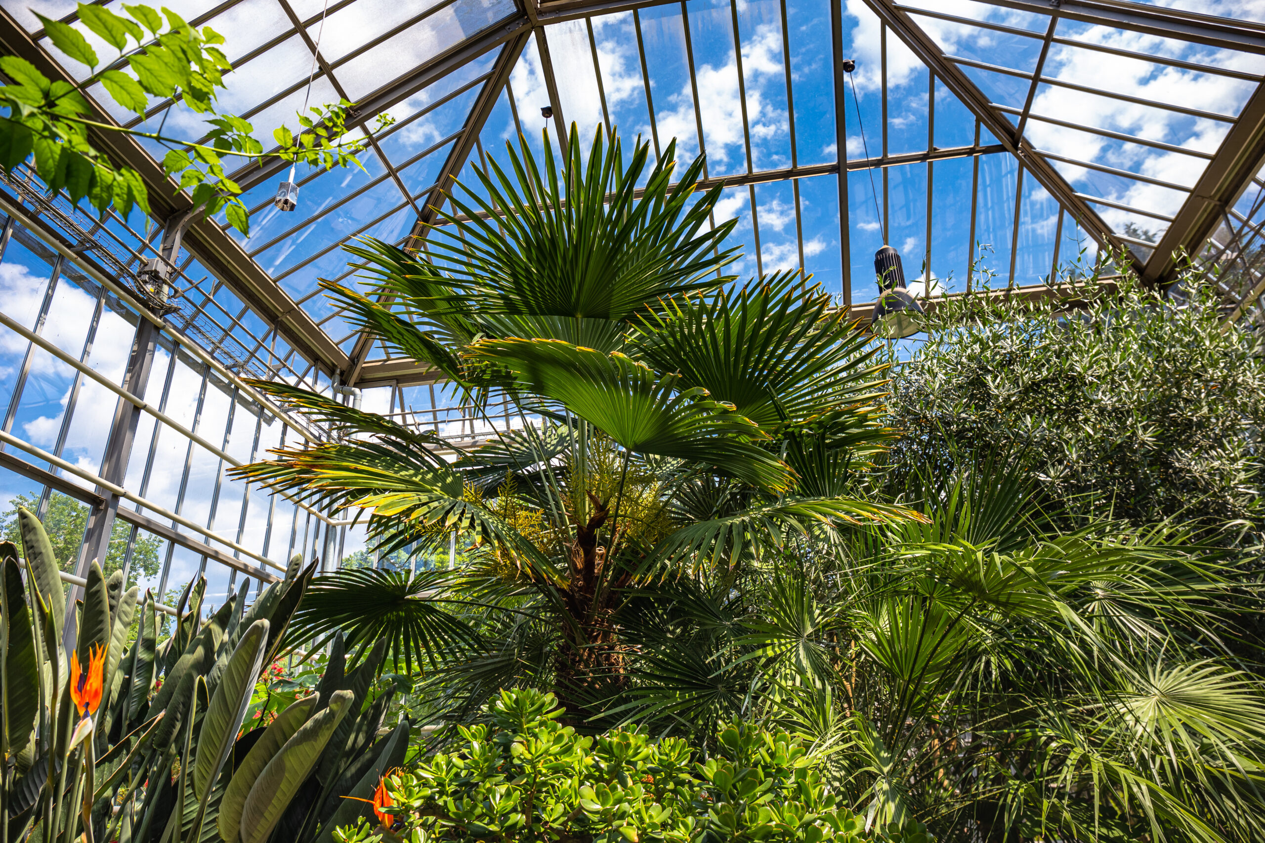 Botanischer Volkspark